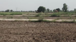 Residential plots in mathurs